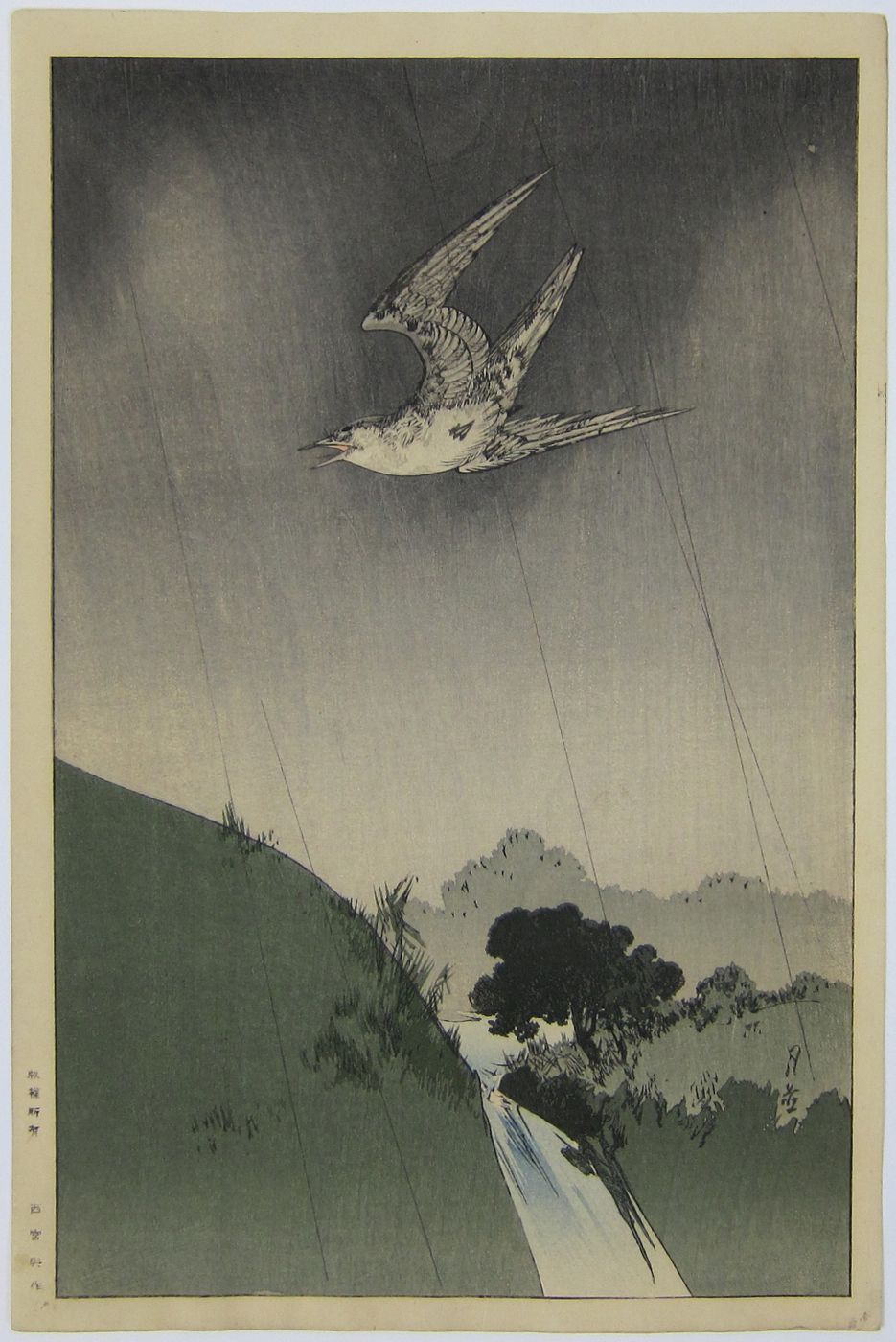A Cuckoo in Flight. c.1930