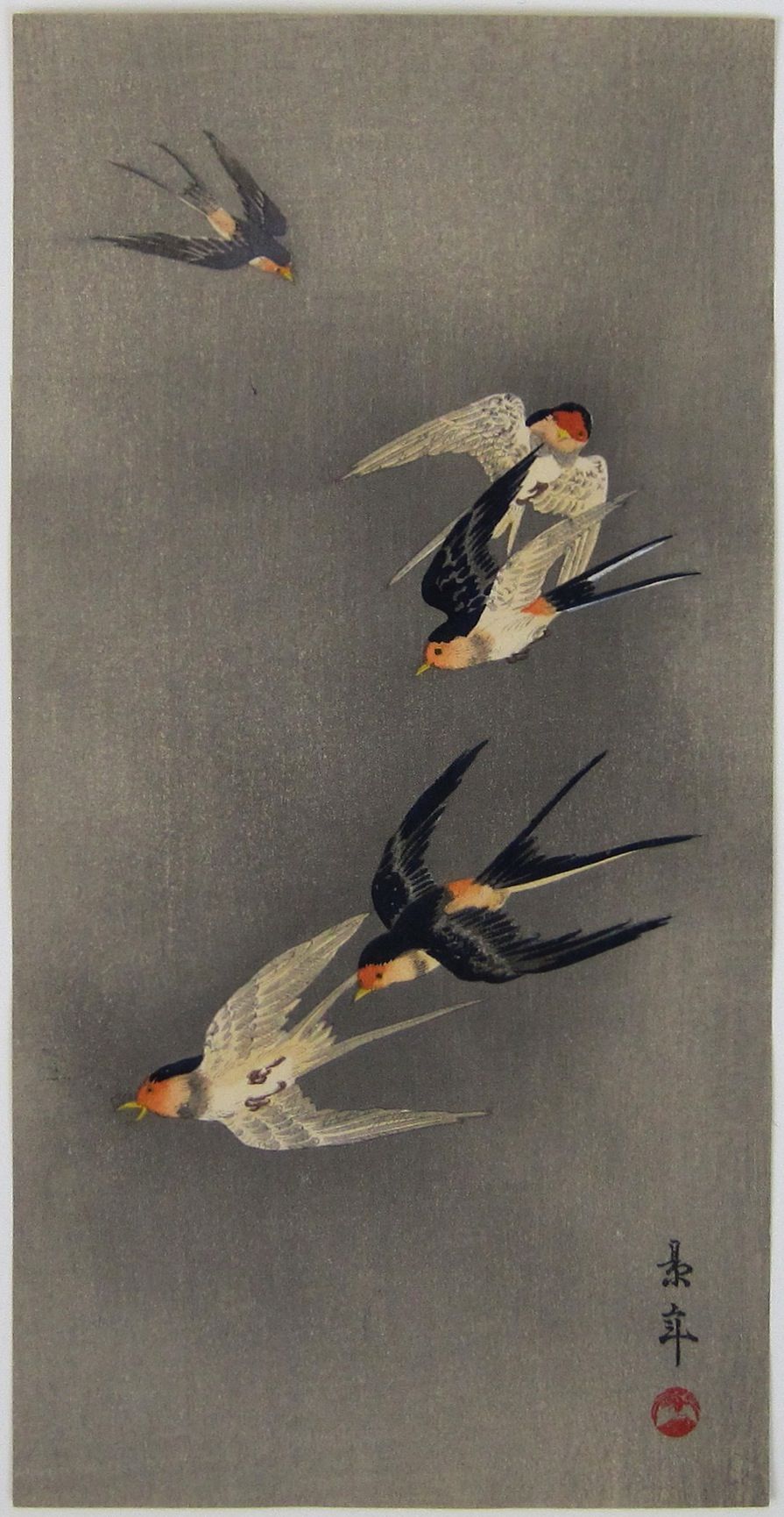 Barn swallows in flight. c.1930