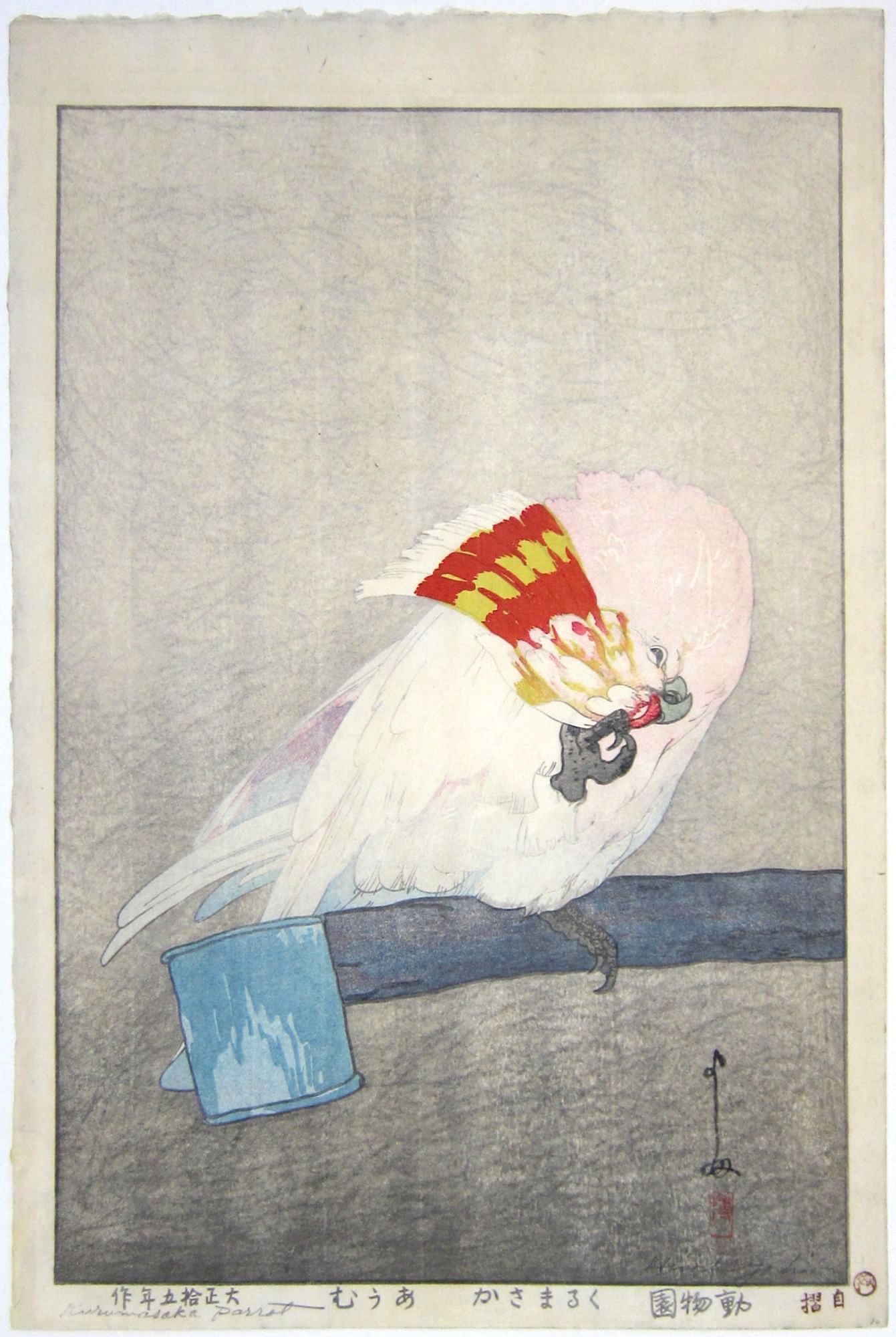 Kurumazaka Parrot