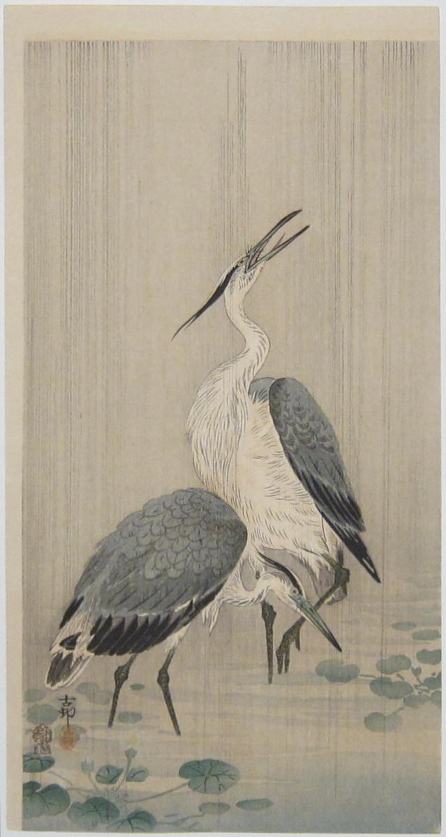 Herons Wading. c.1910.